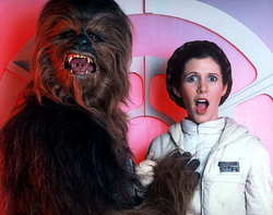 2005_10_chewbacca.jpg