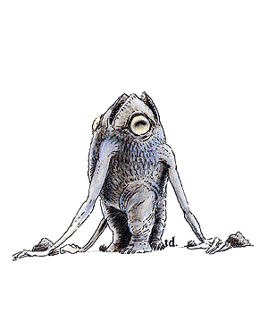 xorn.gif