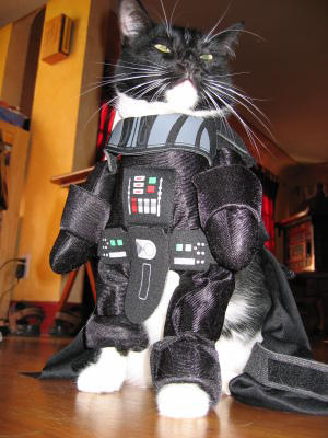 darth-kitty.jpg