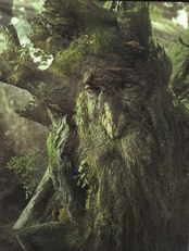 27+Treebeard1.jpg