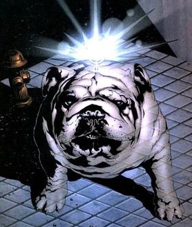 pet header lockjaw_large.jpg