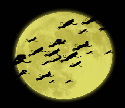 oz-flying-monkeys1.jpg