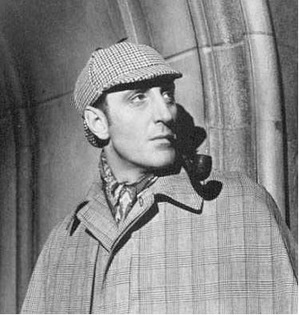 no shit, sherlock.jpg