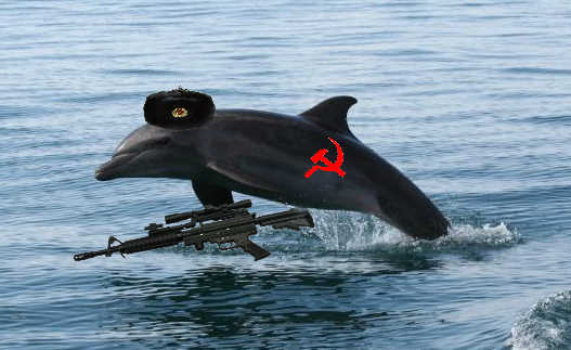Ukrainian Dolphin.jpg