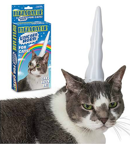 unicorn cat.jpg