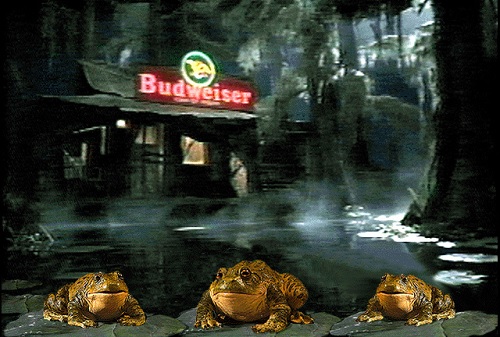 budweiser-frogs.jpg