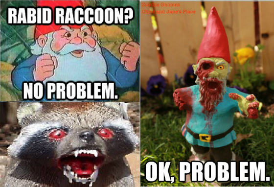 gnomeme3.jpg