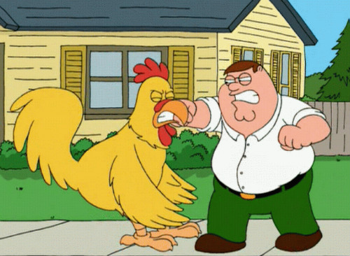 chickenfight2.jpg