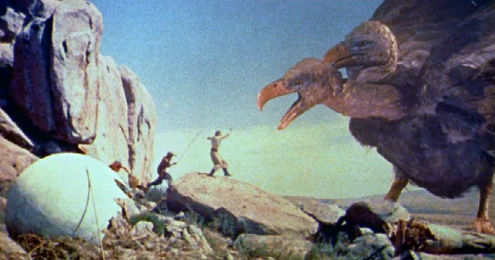 Sinbad11_Roc2.jpg
