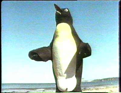 penguin.jpg