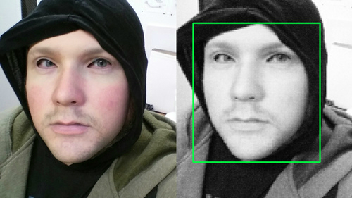 falseface.jpg