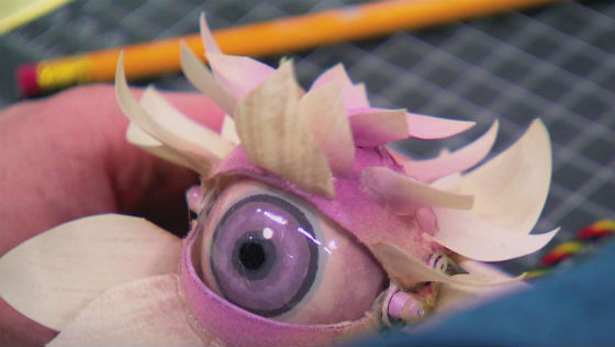 jhcsceyeball.jpg