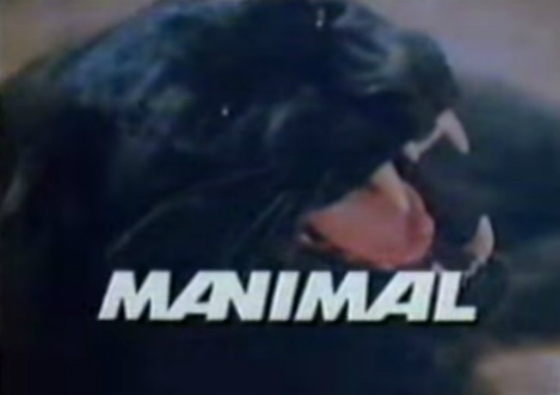 manimal.jpg