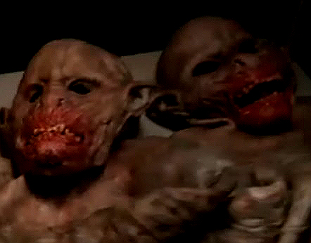LepOrmasks.jpg