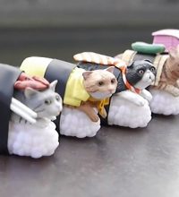 catsushi toys