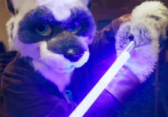 furryjedi.jpg