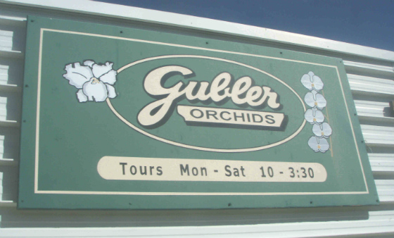 gubler2.JPG