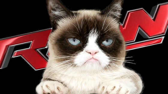 grumpycatraw.jpg