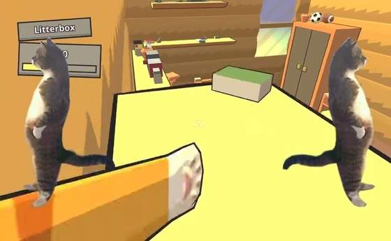 catlateraldamage.jpg