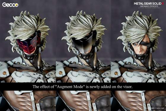 raiden_W_caption_gecco_04.jpg