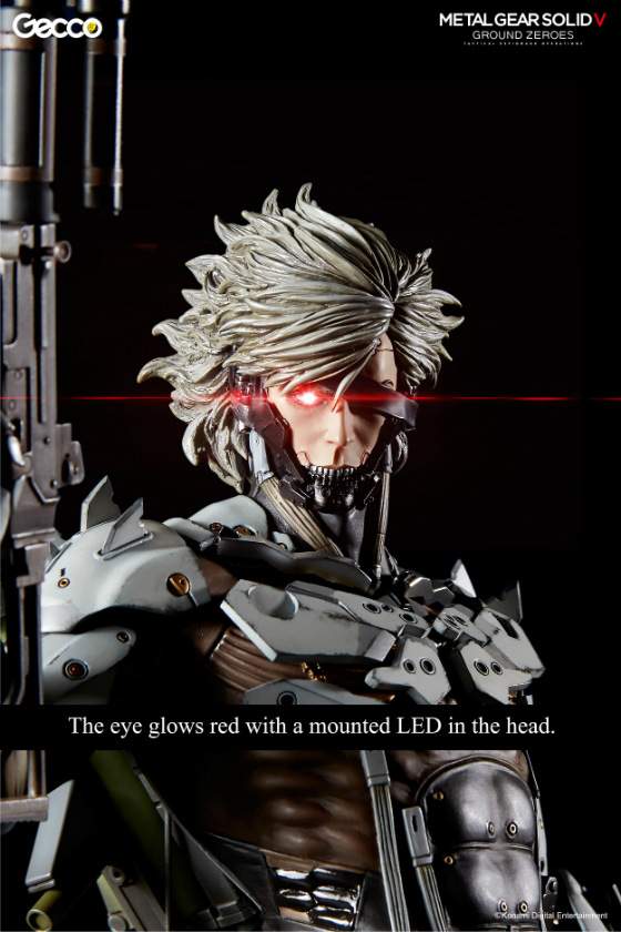 raiden_W_caption_gecco_05.jpg