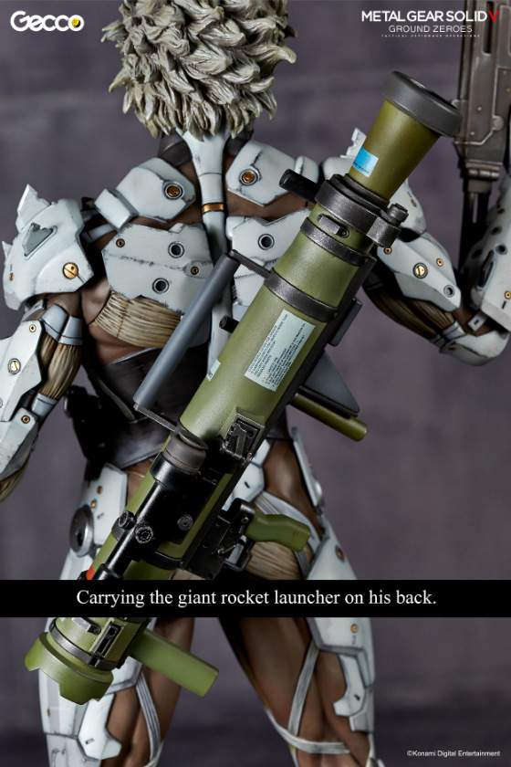 raiden_W_caption_gecco_07.jpg