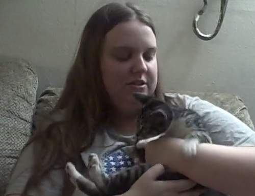 powerupboxwithkitten.jpg