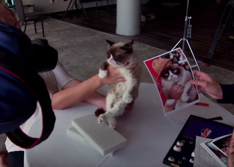grumpycatwaxwork.jpg