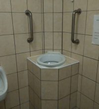 pukingtoilet