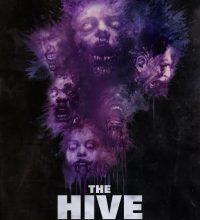 thehivedirector
