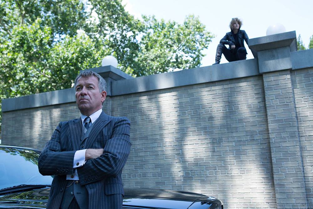 gotham_cat_alfred
