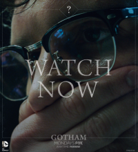 gothamriddleface