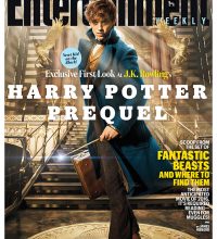 newtscamander